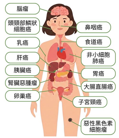 癌症人體圖