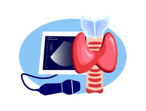 115年揪肝心方案(超音波)$7500