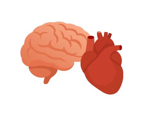 115年高階影像方案(電腦斷層+超音波)$12,600