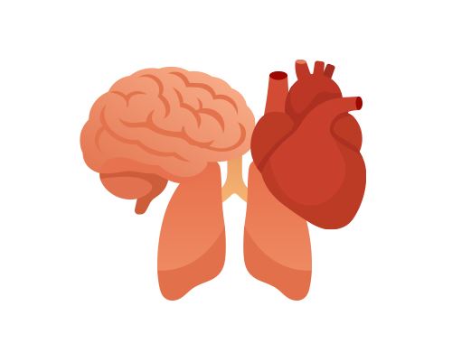 115年精實影像方案(電腦斷層+超音波)$18,000