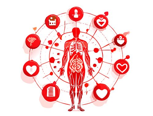 115年尊榮VIP方案(磁振造影+電腦斷層)-女性$72,800