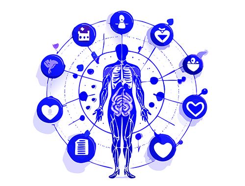 115年尊榮VIP方案(磁振造影+電腦斷層)-男性$72,800