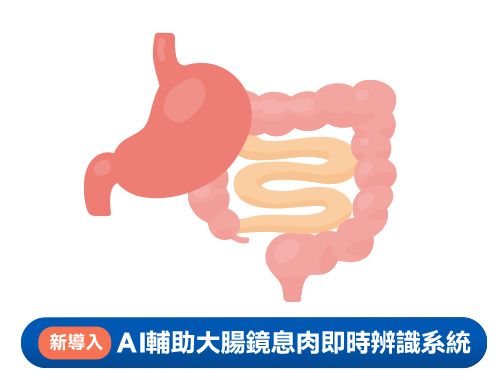115年腸保安心方案(無痛腸胃鏡)$21,100
