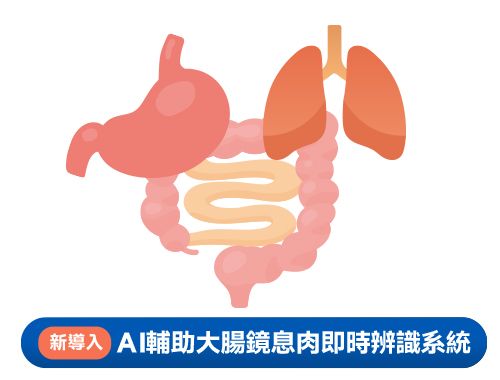115年胃你守護方案(無痛腸胃鏡+電腦斷層)$28,600